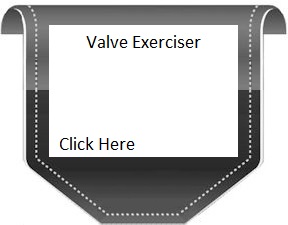 Valve Exerciser